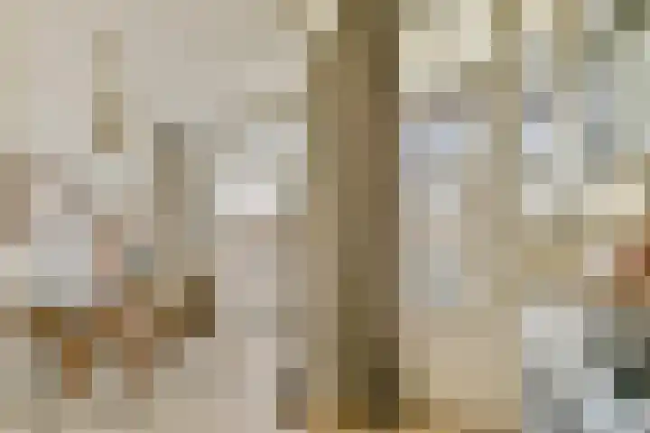 Nieuwe Looiersstraat 70 H Amsterdam thumbnail 12