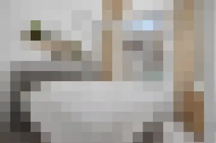 Nieuwe Looiersstraat 70 H Amsterdam thumbnail 14