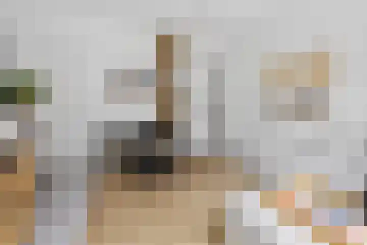 Nieuwe Looiersstraat 70 H Amsterdam thumbnail 4