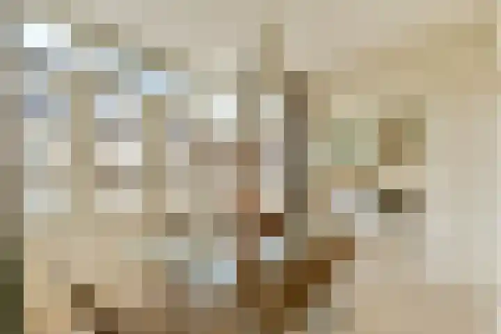 Nieuwe Looiersstraat 70 H Amsterdam thumbnail 9