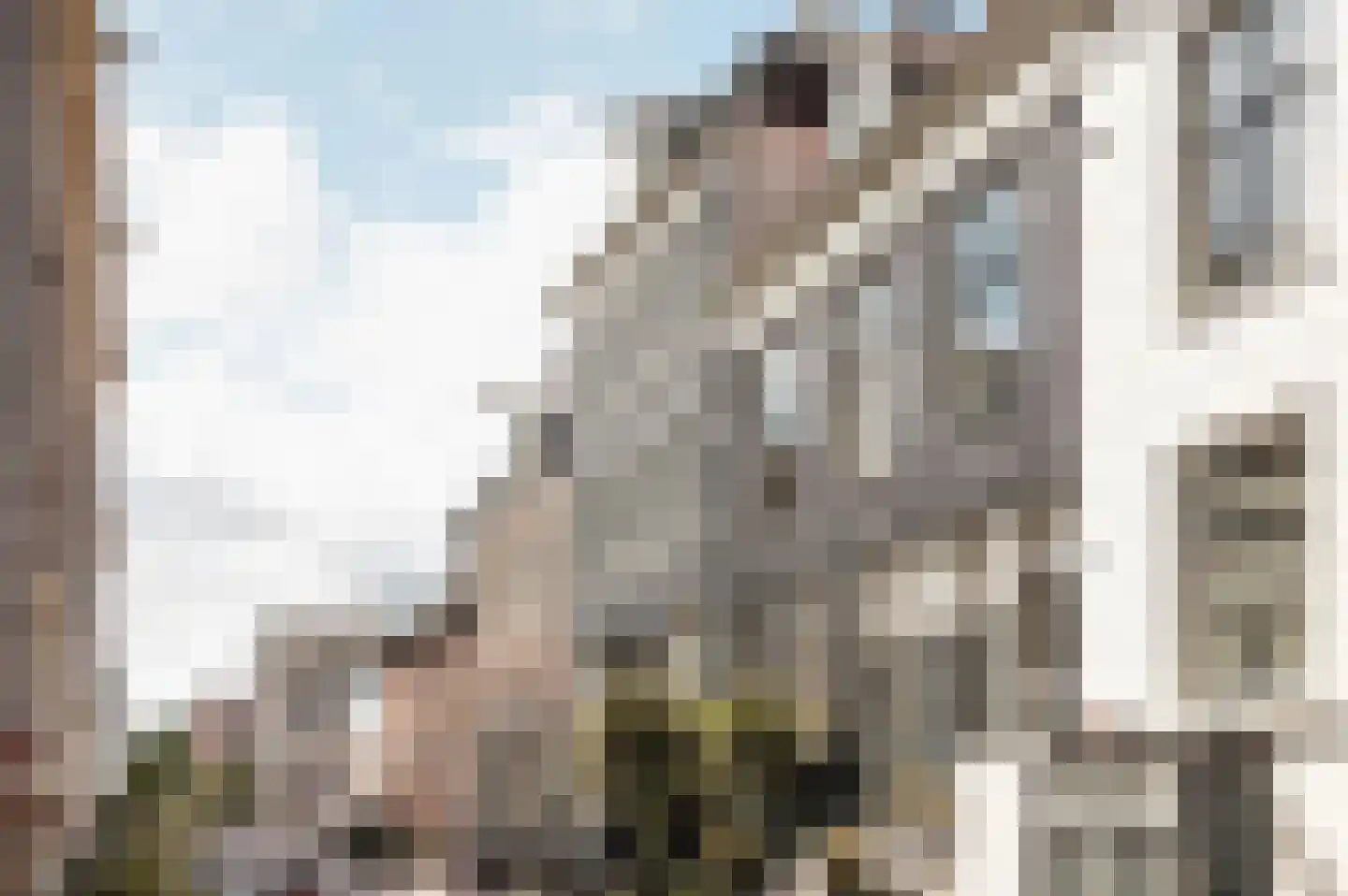 Nieuwe Looiersstraat 71 H Amsterdam thumbnail 20
