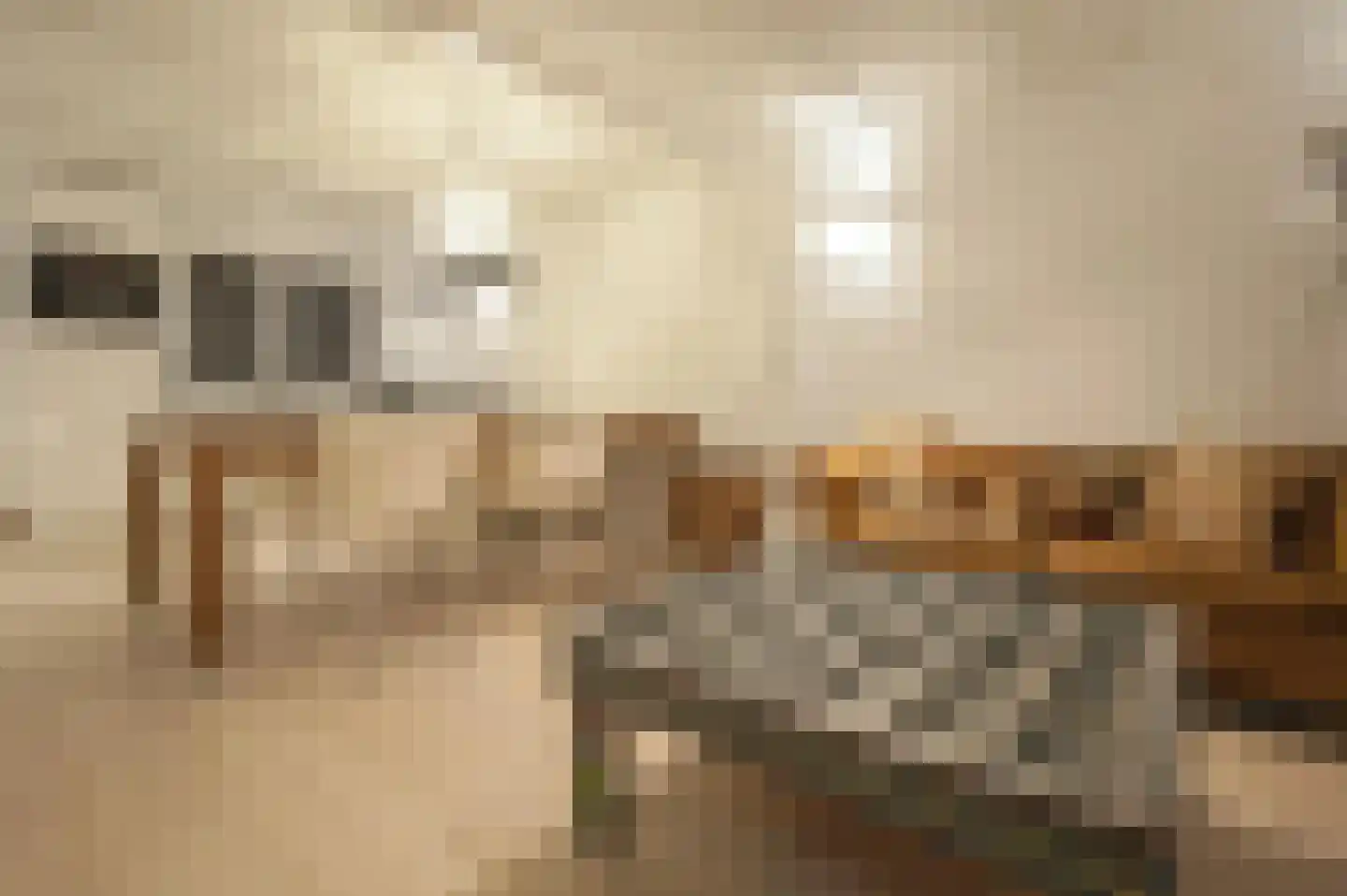 Nieuwe Looiersstraat 71 H Amsterdam thumbnail 4