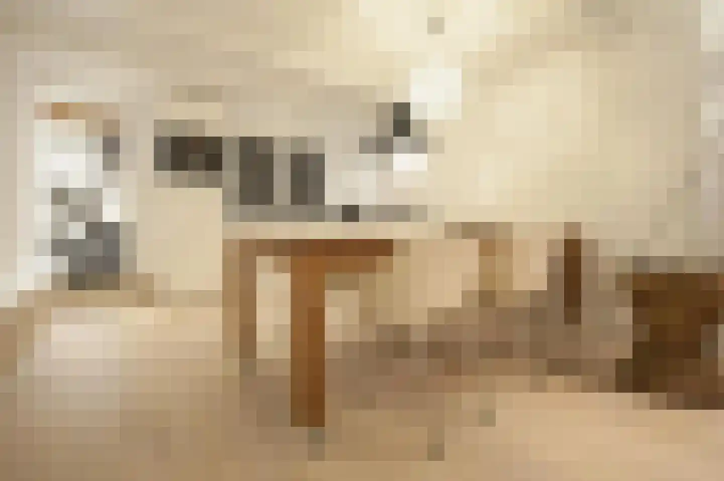 Nieuwe Looiersstraat 71 H Amsterdam thumbnail 5