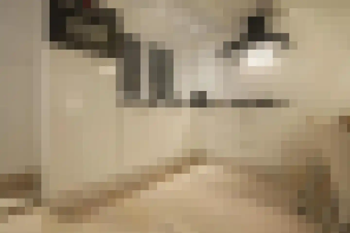 Nieuwe Looiersstraat 71 H Amsterdam thumbnail 8