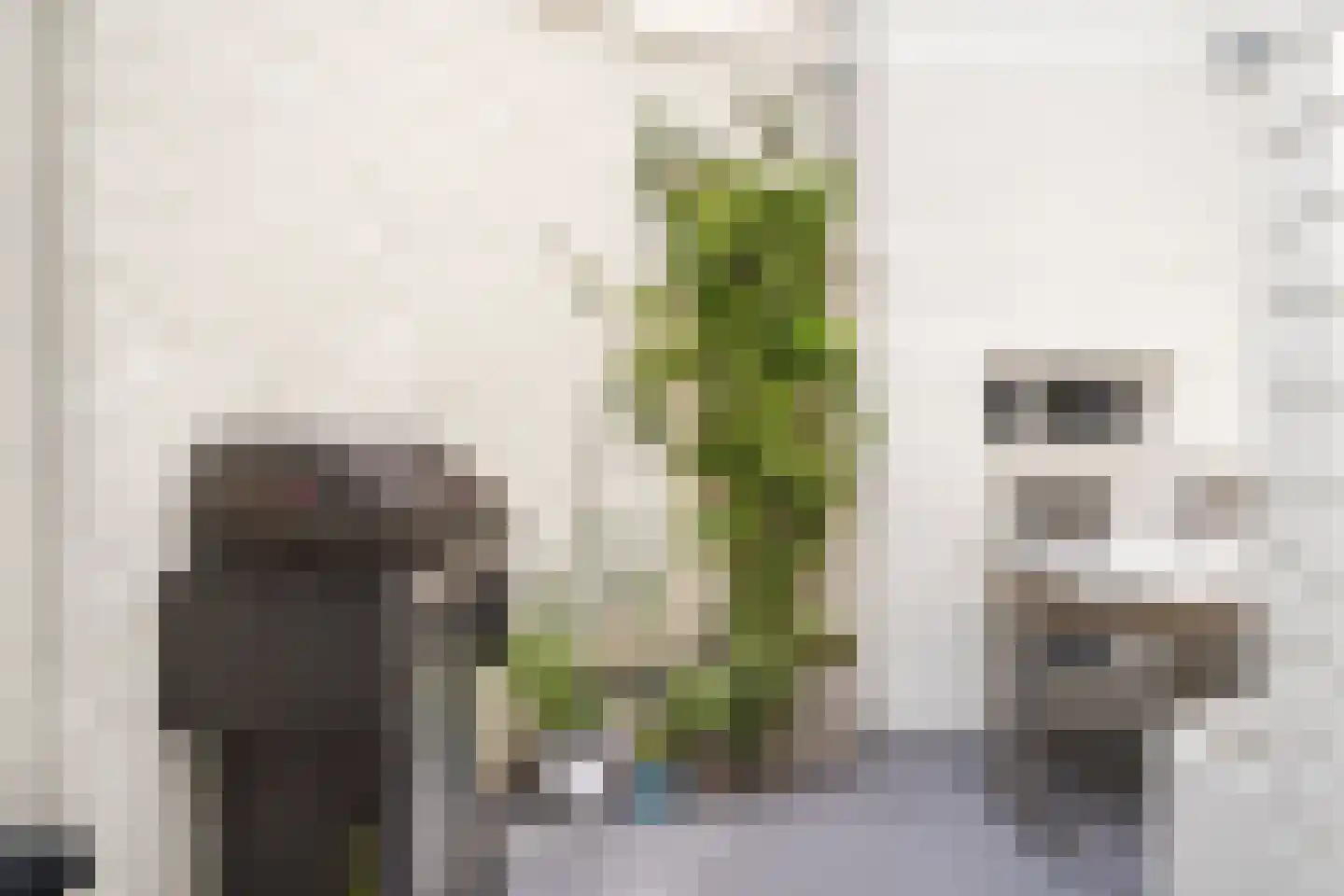 Nieuwe Looiersstraat 74 Amsterdam thumbnail 11