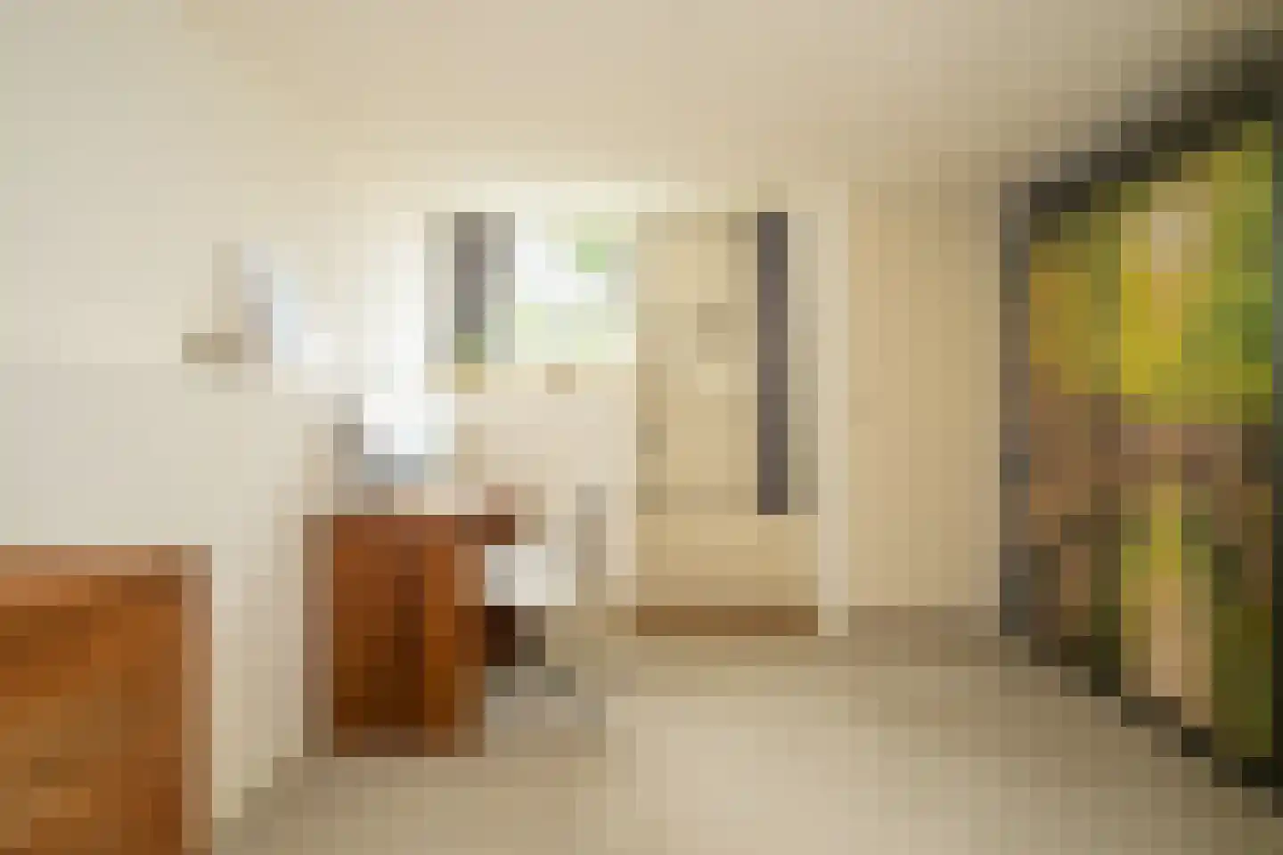 Nieuwe Looiersstraat 74 Amsterdam thumbnail 12