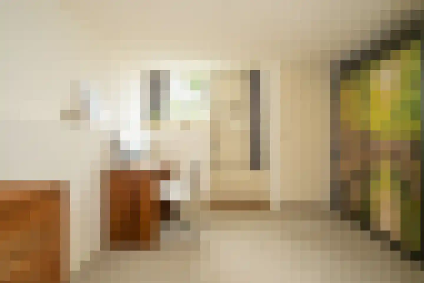 Nieuwe Looiersstraat 74 Amsterdam thumbnail 12