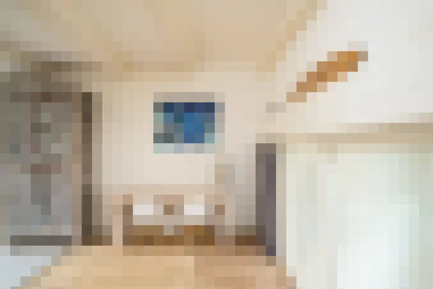 Nieuwe Looiersstraat 74 Amsterdam thumbnail 13