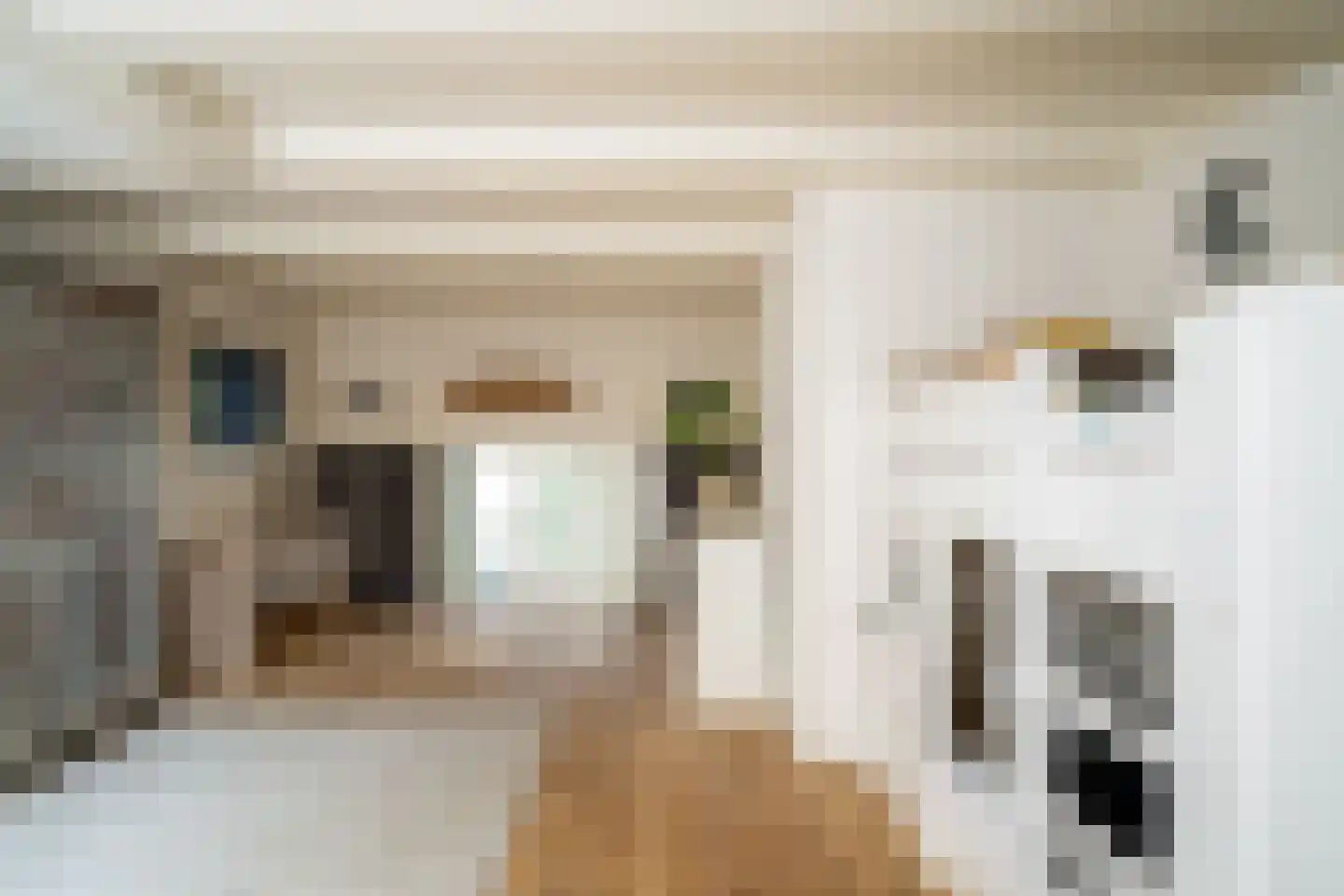 Nieuwe Looiersstraat 74 Amsterdam thumbnail 17