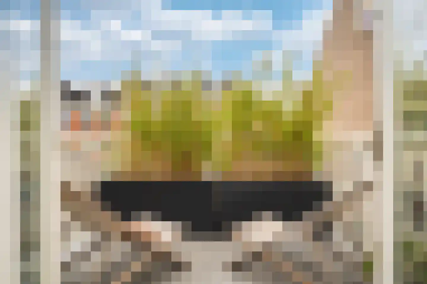 Nieuwe Looiersstraat 74 Amsterdam thumbnail 19