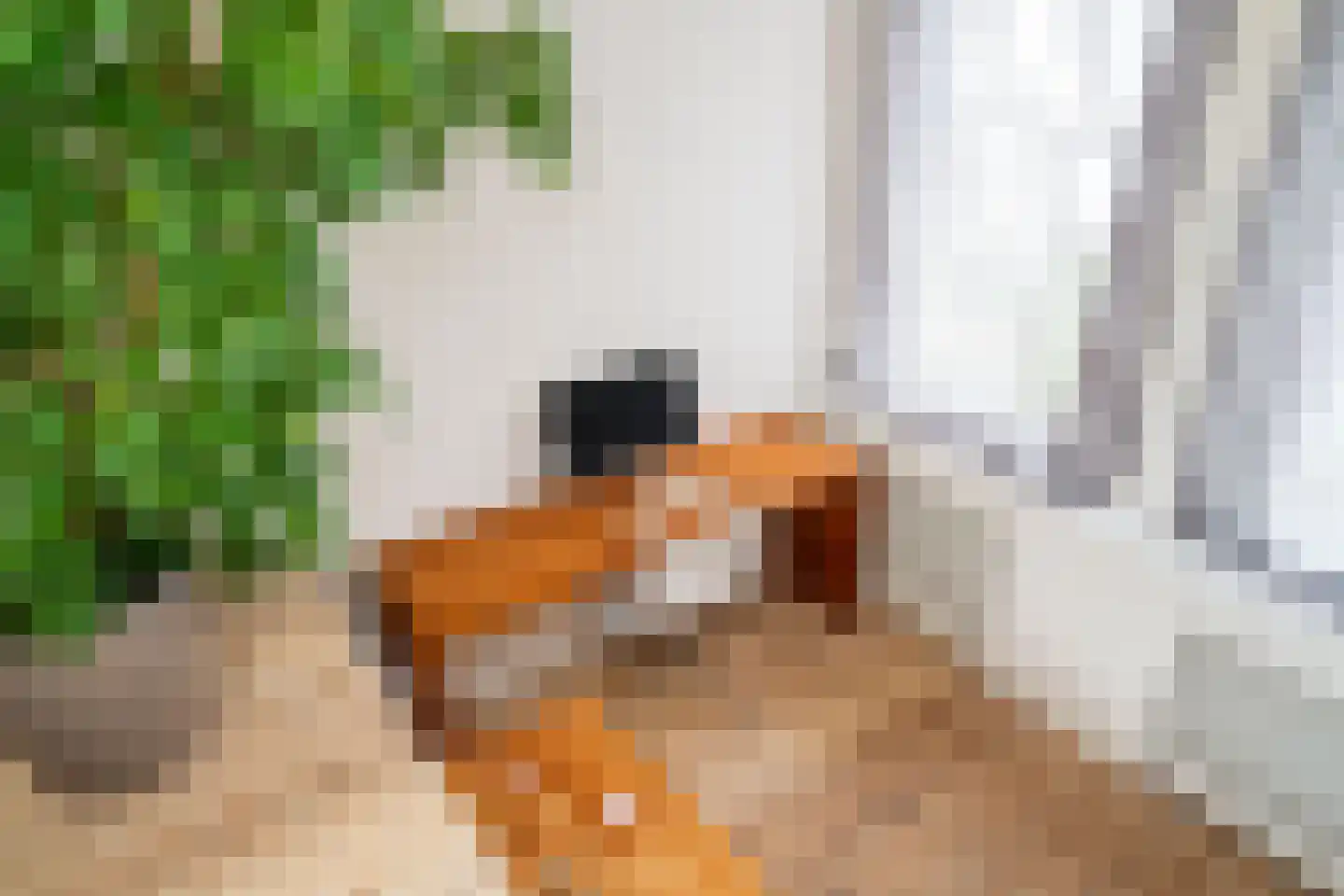 Nieuwe Looiersstraat 74 Amsterdam thumbnail 23