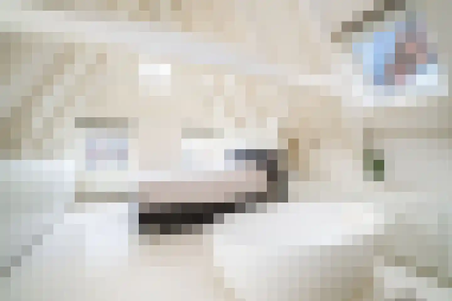 Nieuwe Looiersstraat 74 Amsterdam thumbnail 25