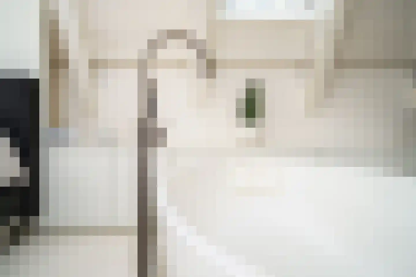 Nieuwe Looiersstraat 74 Amsterdam thumbnail 28