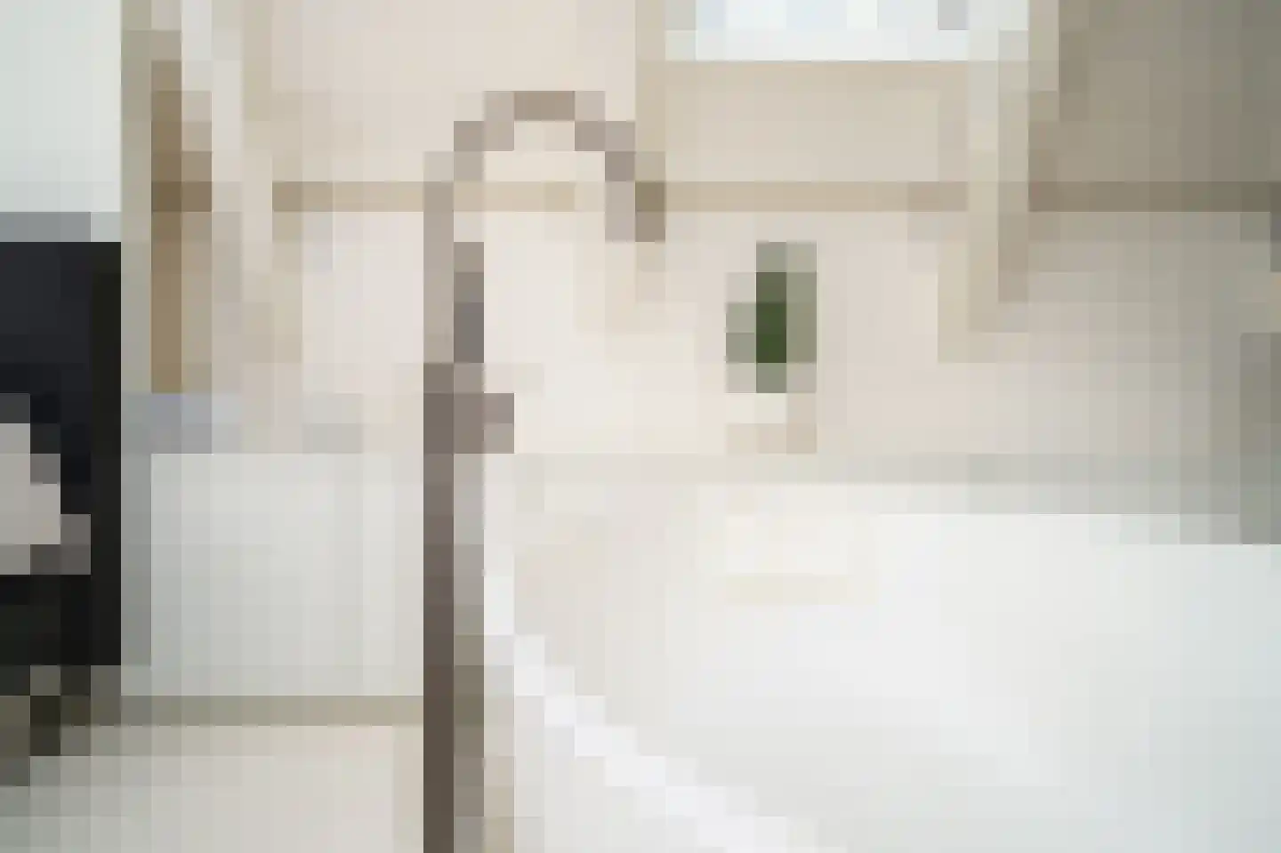 Nieuwe Looiersstraat 74 Amsterdam thumbnail 28
