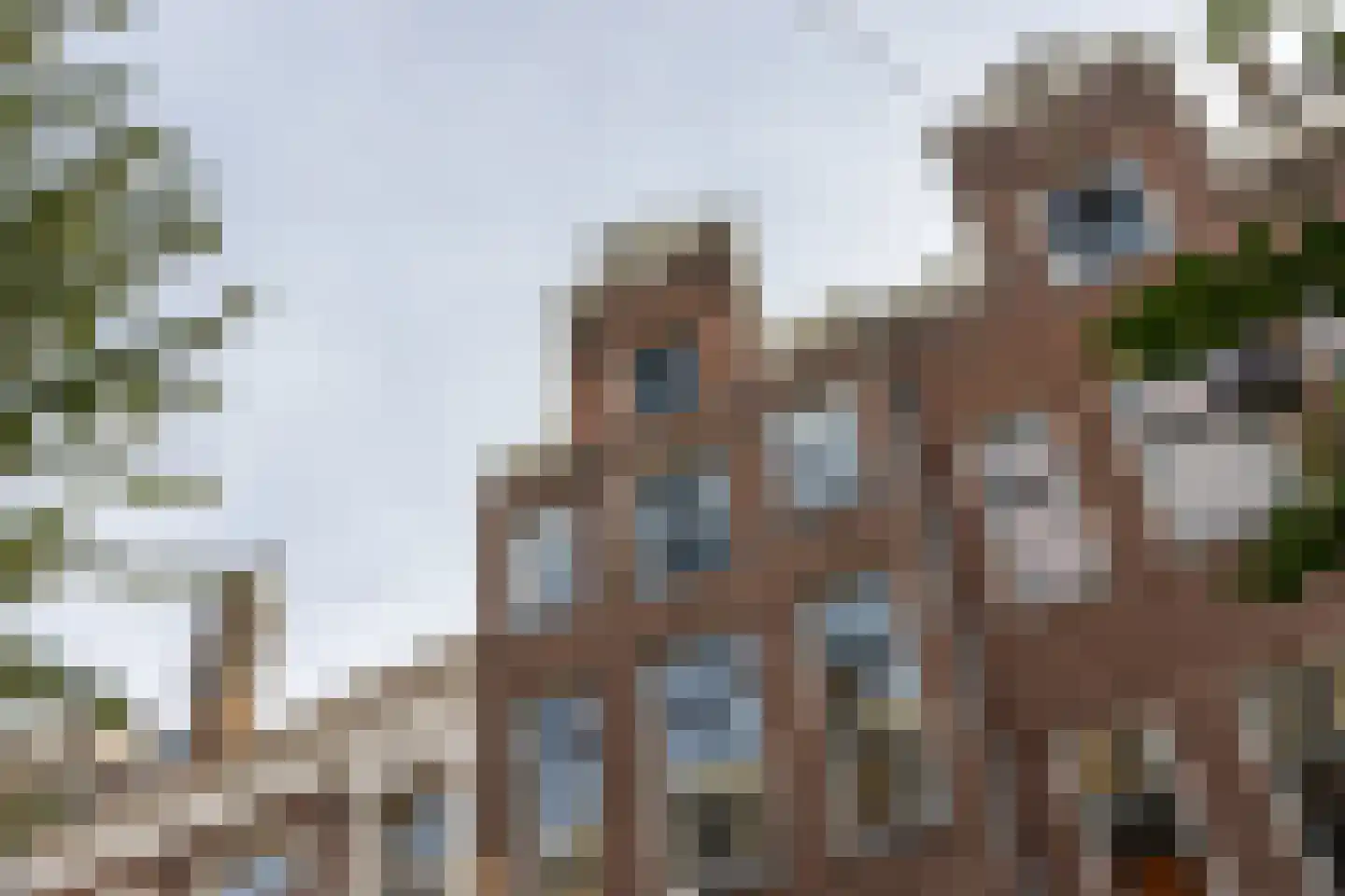 Nieuwe Looiersstraat 74 Amsterdam thumbnail 32
