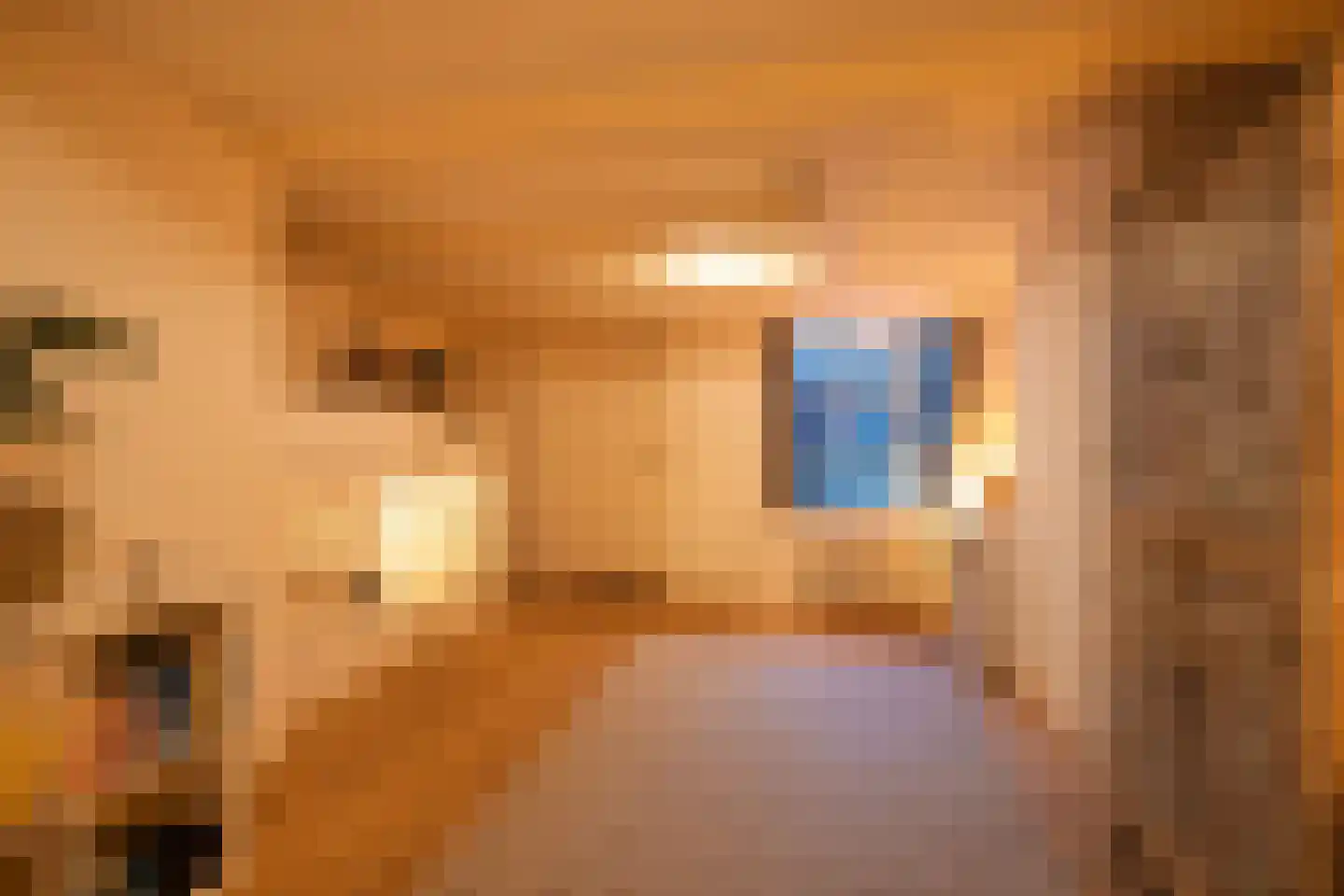 Nieuwe Looiersstraat 74 Amsterdam thumbnail 36