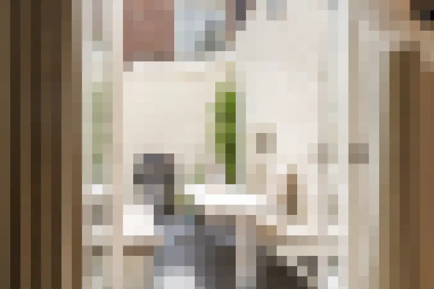 Nieuwe Looiersstraat 74 Amsterdam thumbnail 6