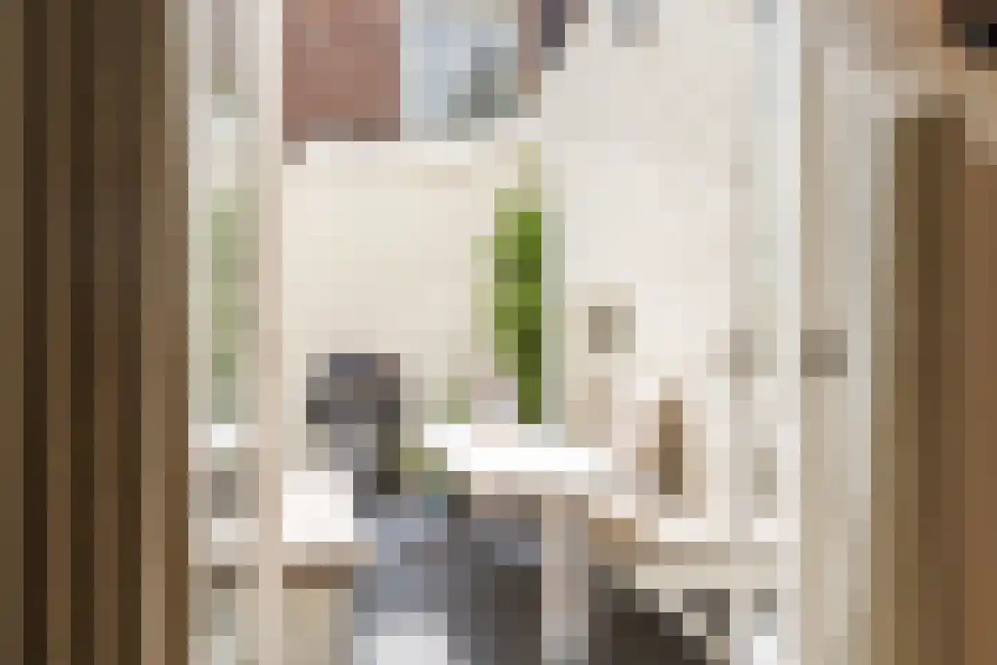 Nieuwe Looiersstraat 74 Amsterdam thumbnail 6