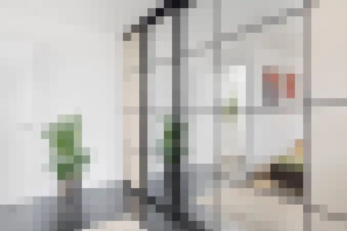 Nieuwe Looiersstraat 78 2 Amsterdam thumbnail 18