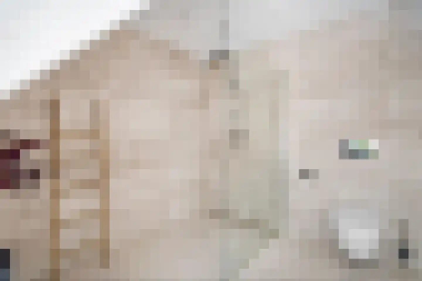 Nieuwe Looiersstraat 78 2 Amsterdam thumbnail 37