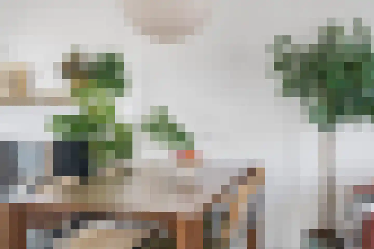 Nieuwe Looiersstraat 78 2 Amsterdam thumbnail 6