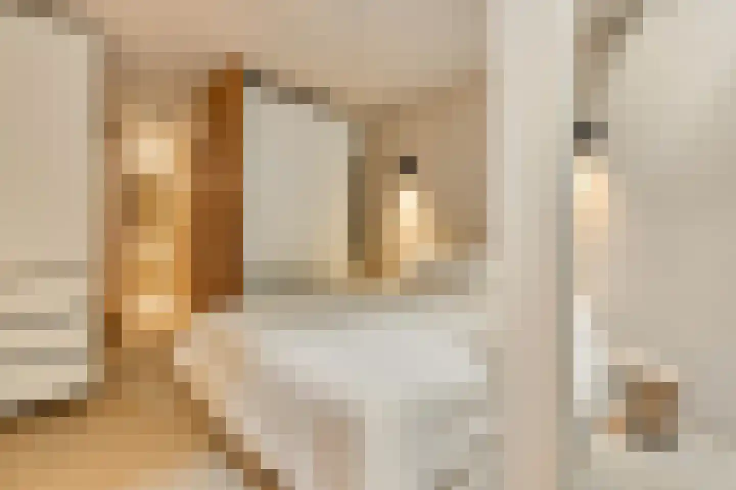 Nieuwe Looiersstraat 98 A Amsterdam thumbnail 17