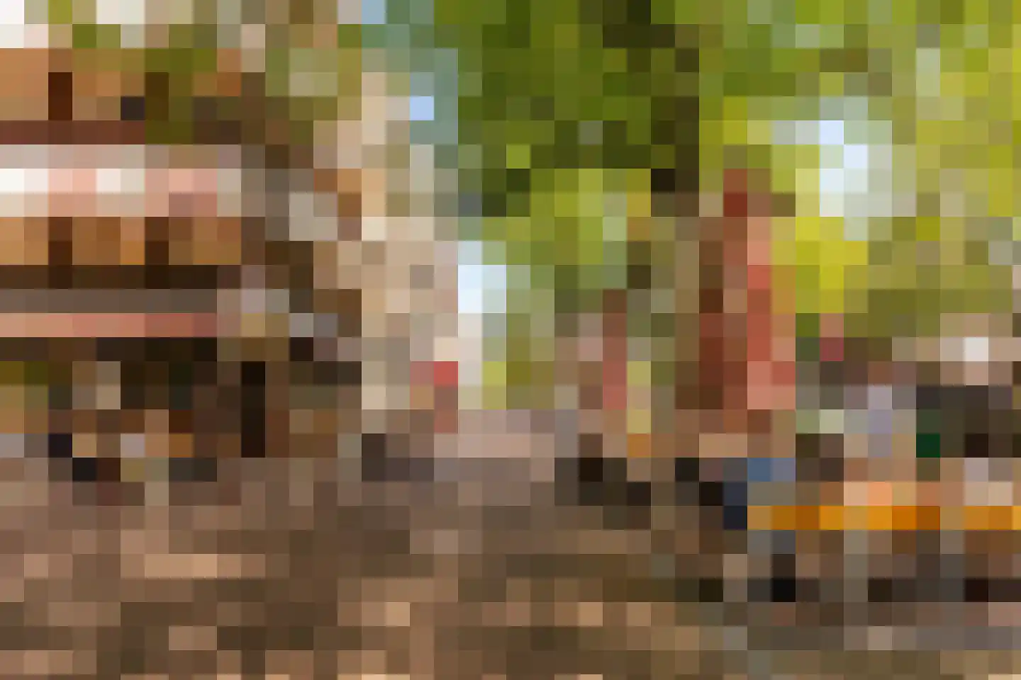 Nieuwe Looiersstraat 98 A Amsterdam thumbnail 21