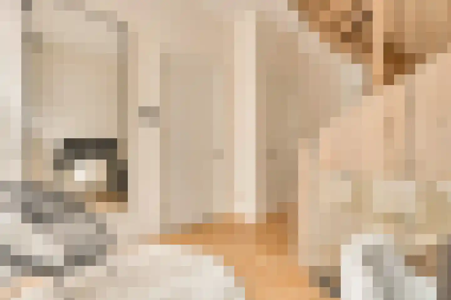 Nieuwe Looiersstraat 98 A Amsterdam thumbnail 5