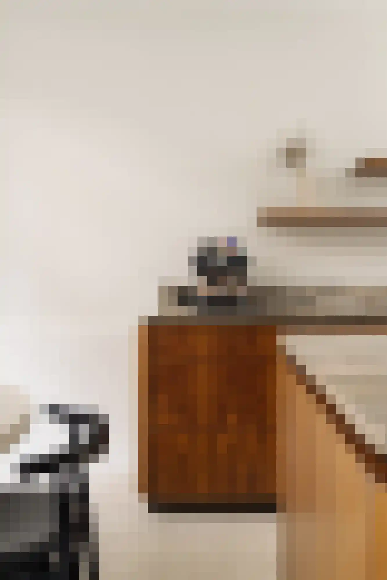Nieuwe Looiersstraat 98 Amsterdam thumbnail 11