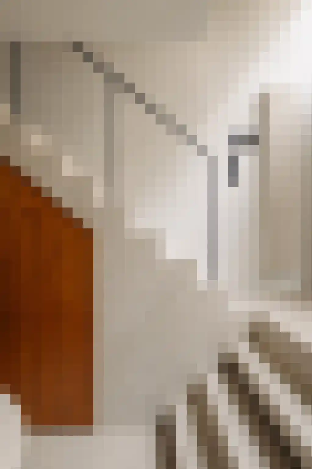 Nieuwe Looiersstraat 98 Amsterdam thumbnail 18