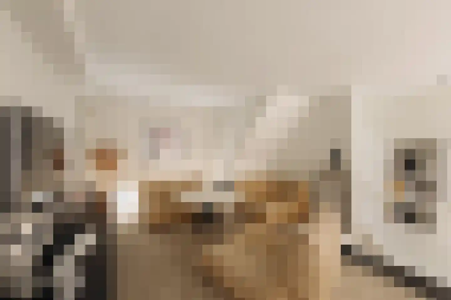 Nieuwe Looiersstraat 98 Amsterdam thumbnail 22