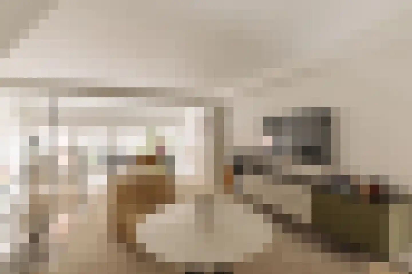 Nieuwe Looiersstraat 98 Amsterdam thumbnail 23