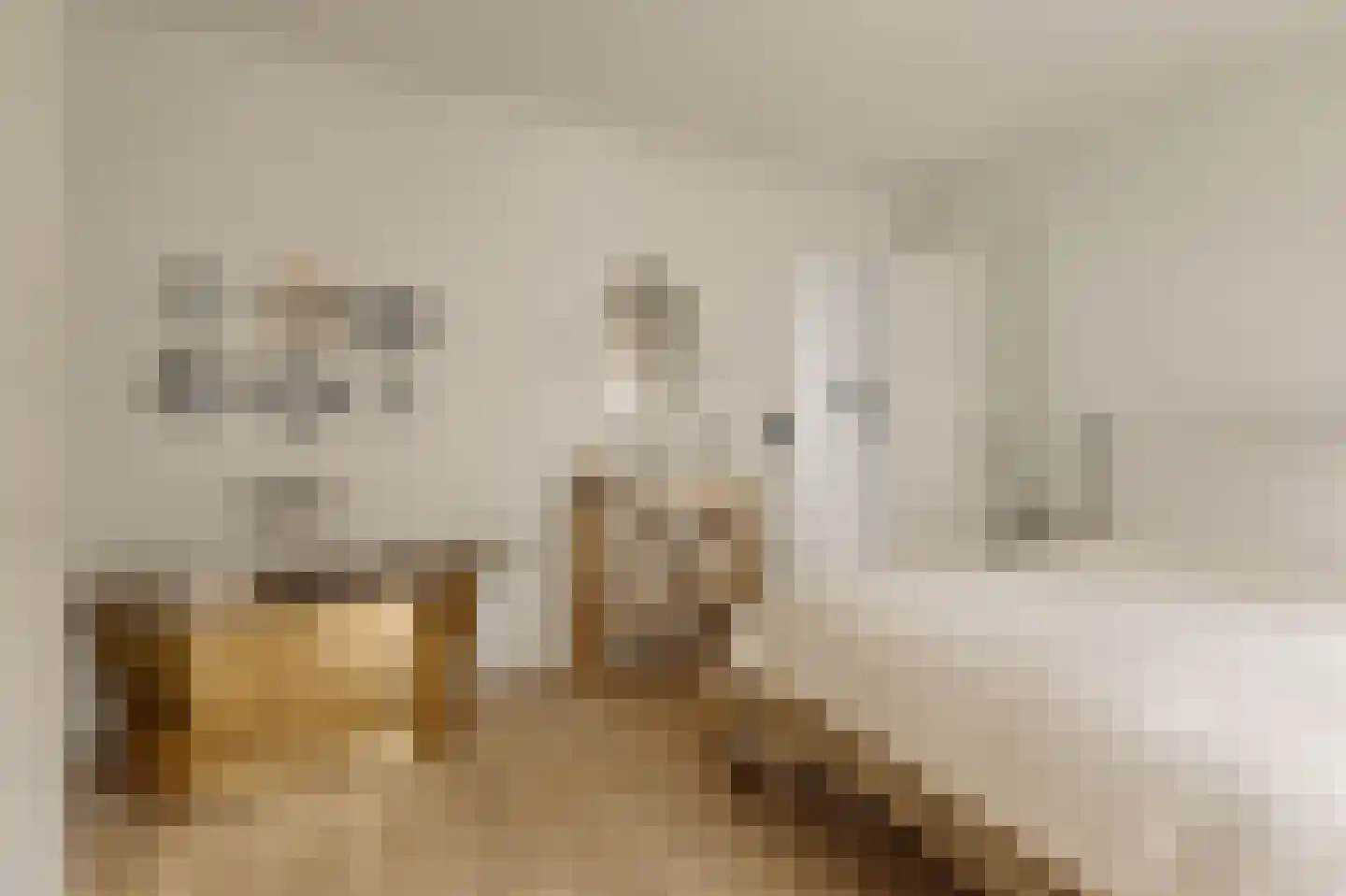 Nieuwe Looiersstraat 98 Amsterdam thumbnail 35