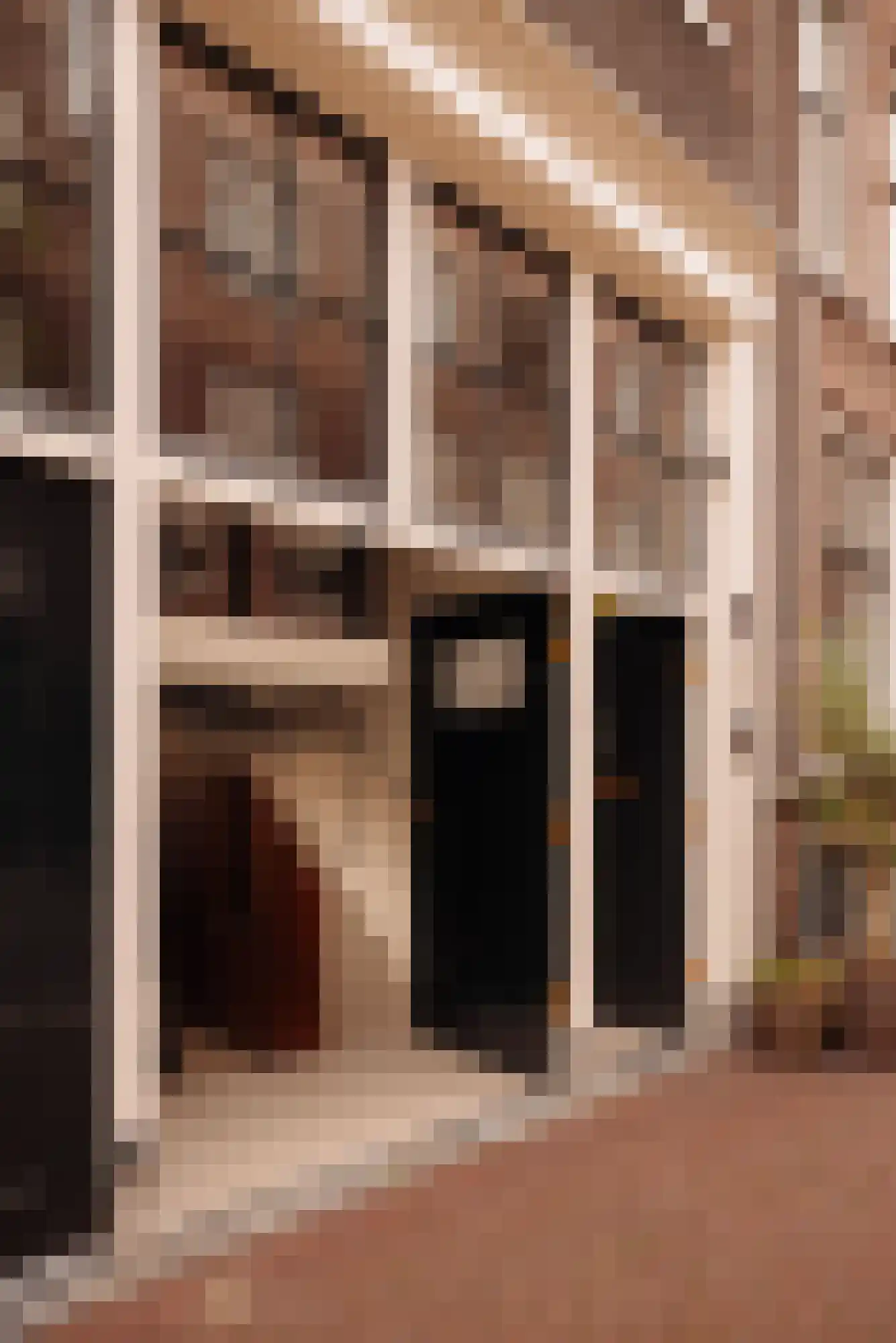 Nieuwe Looiersstraat 98 Amsterdam thumbnail 8
