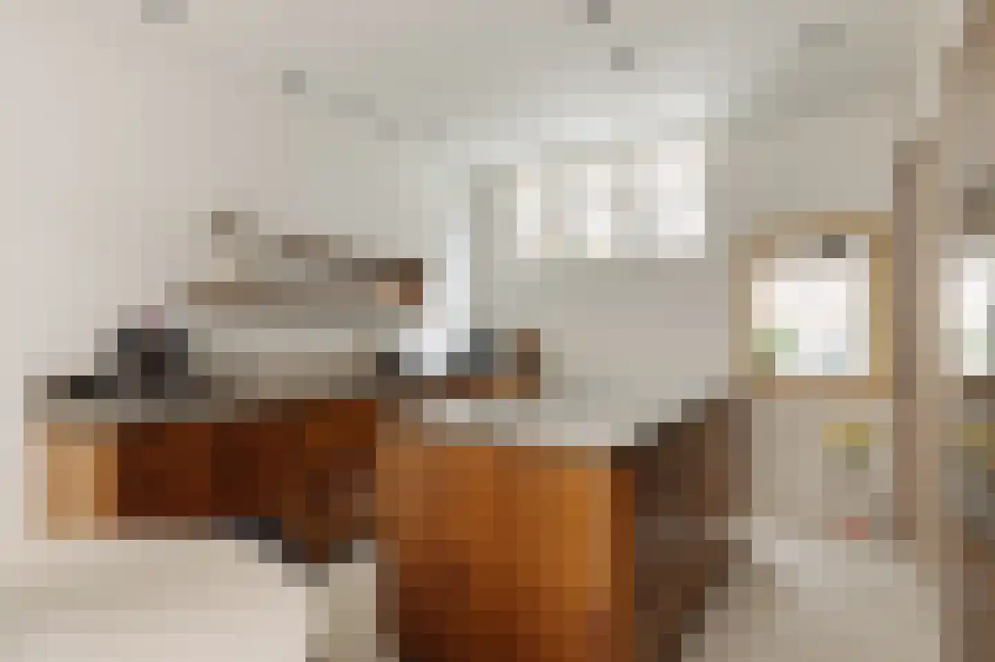 Nieuwe Looiersstraat 98 Amsterdam thumbnail 9