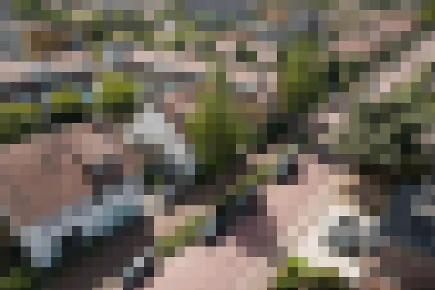 Nieuwe Maanderbuurtweg 17 Ede thumbnail 45