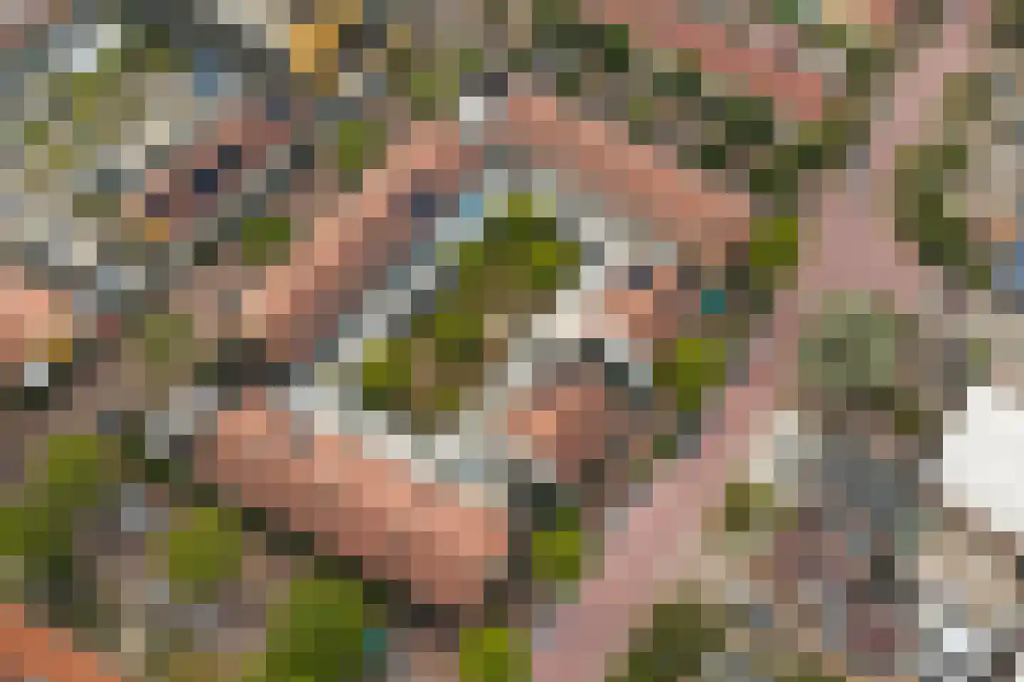 Nieuwe Maanderbuurtweg 17 Ede thumbnail 47