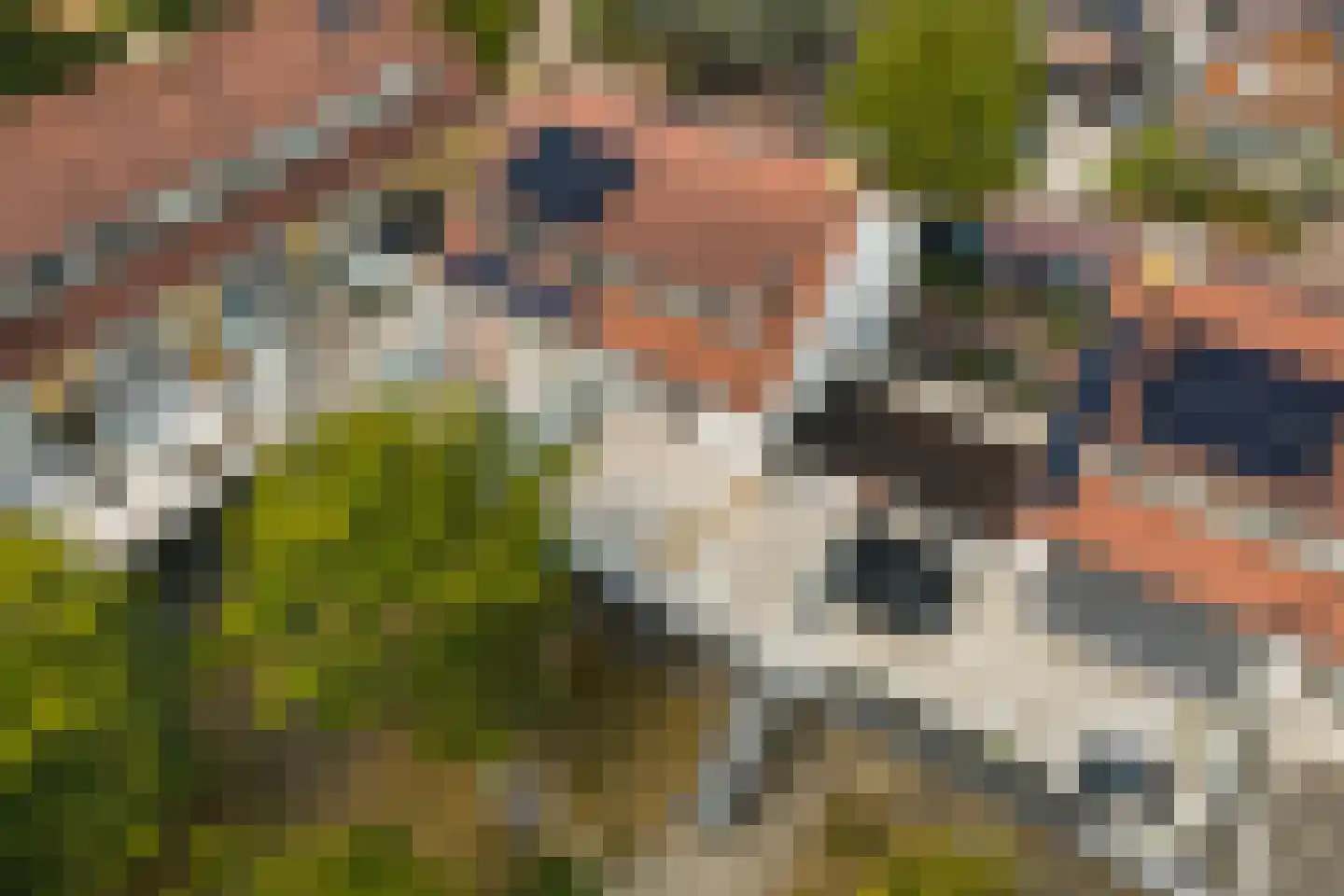 Nieuwe Maanderbuurtweg 17 Ede thumbnail 48