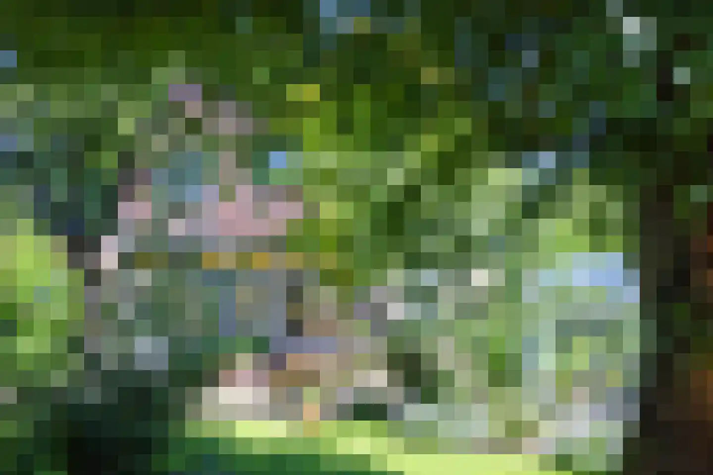 Nieuwe Maanderbuurtweg 4 Ede thumbnail 35