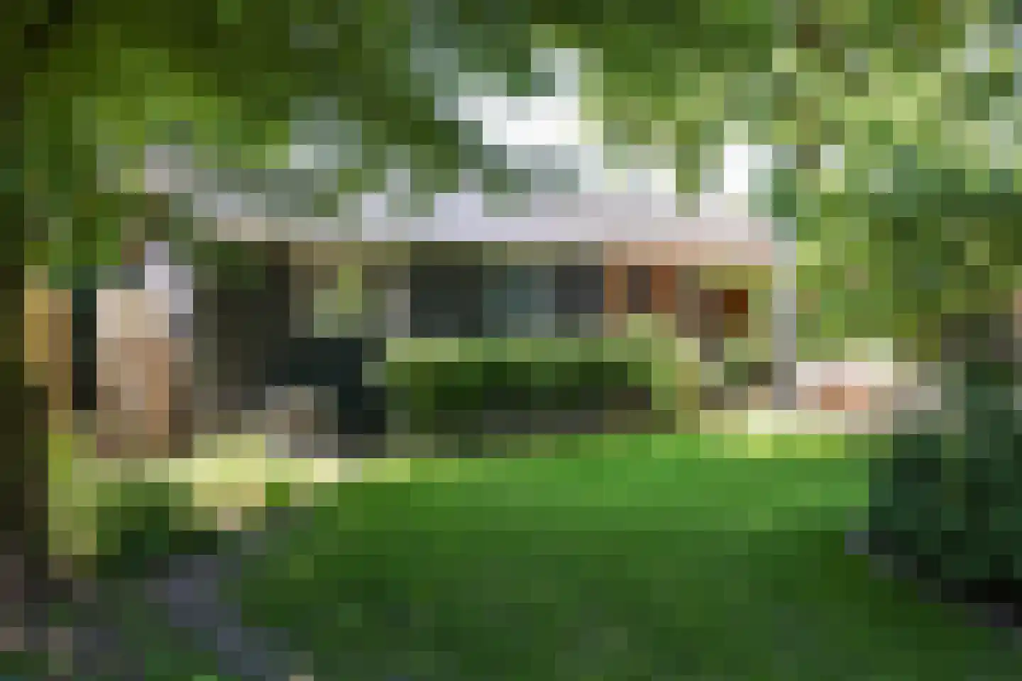 Nieuwe Maanderbuurtweg 4 Ede thumbnail 40