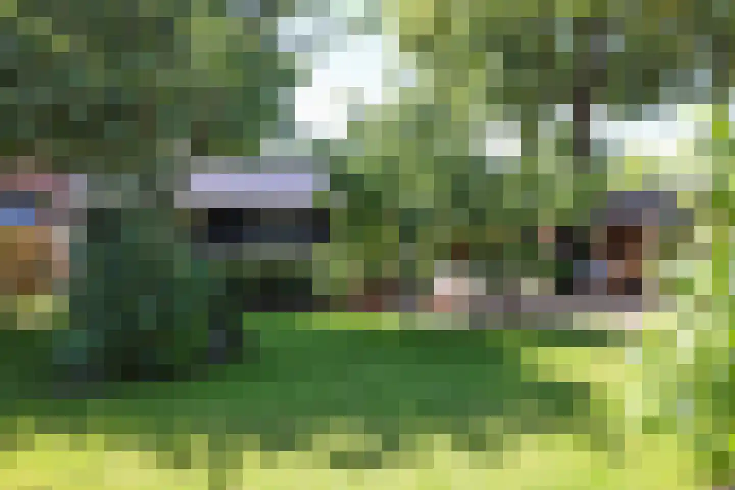 Nieuwe Maanderbuurtweg 4 Ede thumbnail 41
