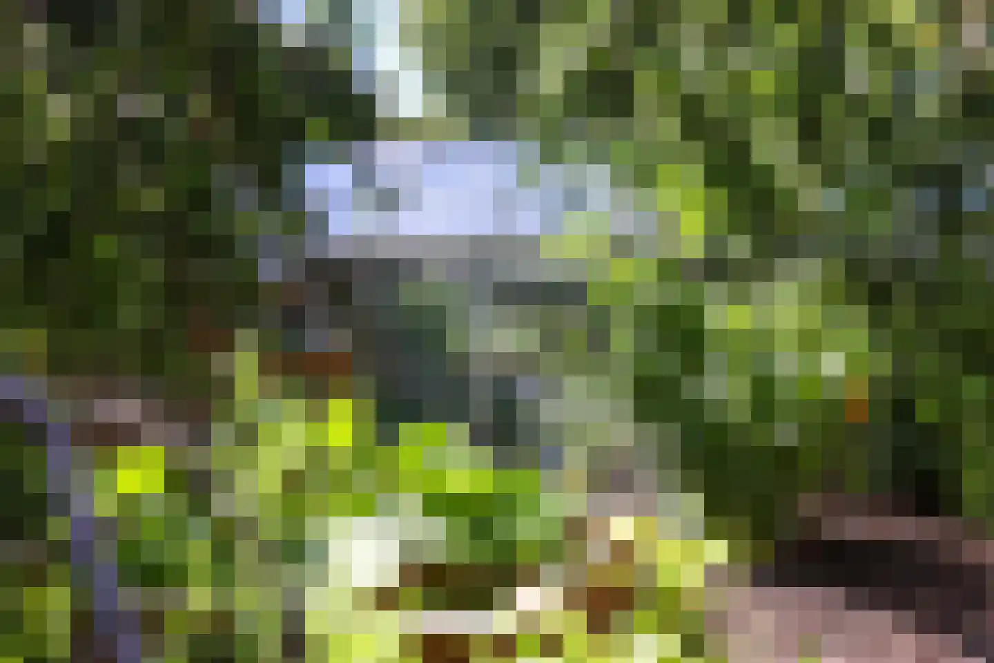 Nieuwe Maanderbuurtweg 4 Ede thumbnail 43