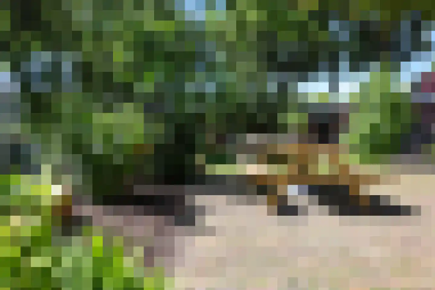 Nieuwe Maanderbuurtweg 4 Ede thumbnail 44
