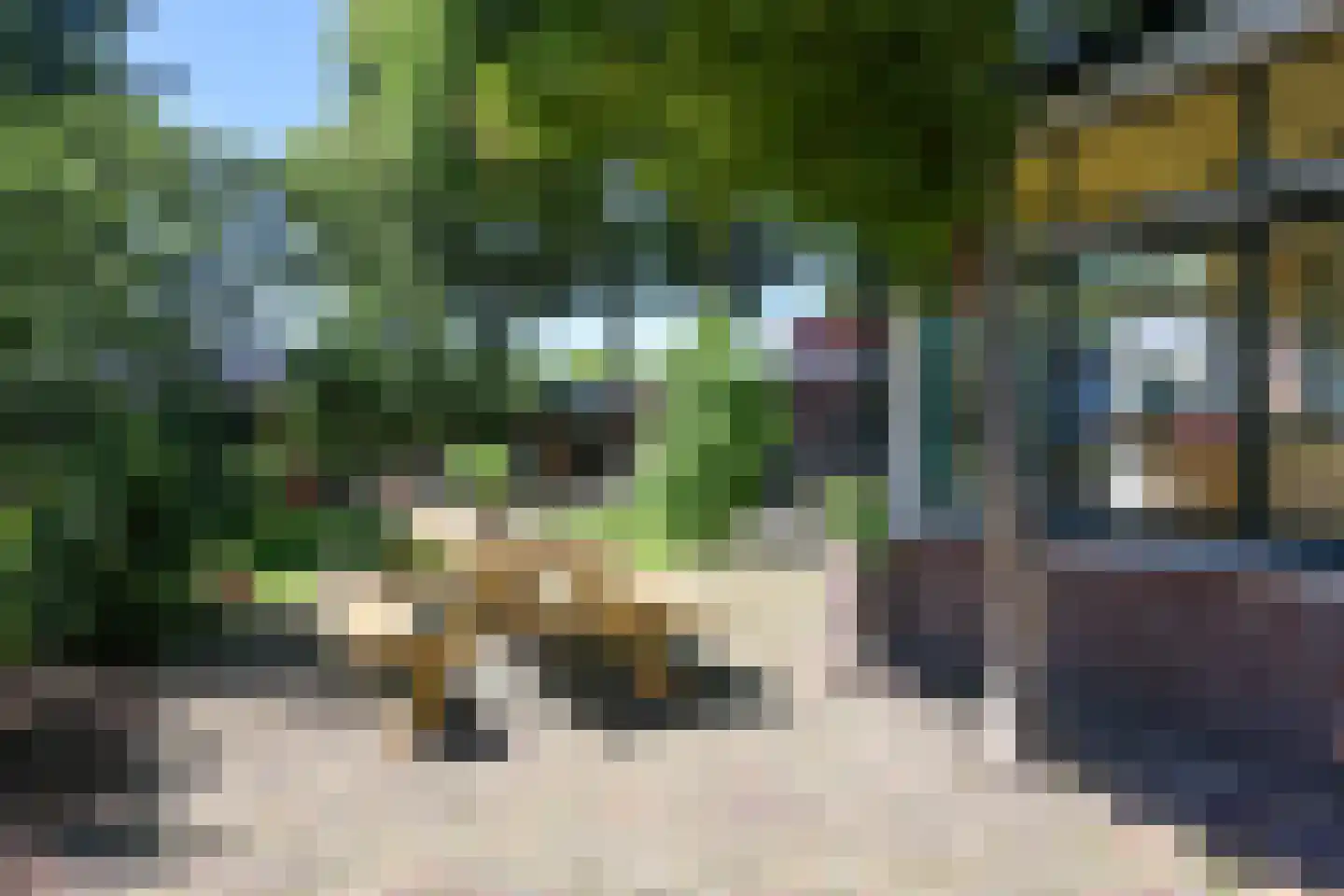 Nieuwe Maanderbuurtweg 4 Ede thumbnail 48