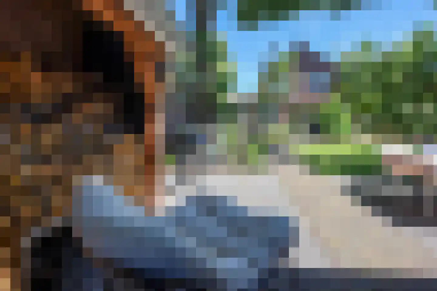 Nieuwe Maanderbuurtweg 4 Ede thumbnail 49