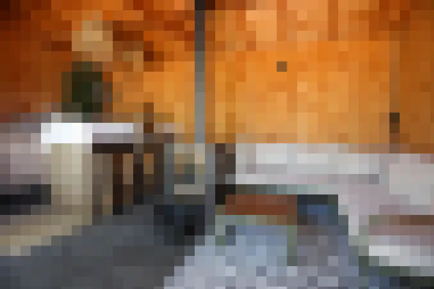Nieuwe Maanderbuurtweg 4 Ede thumbnail 50