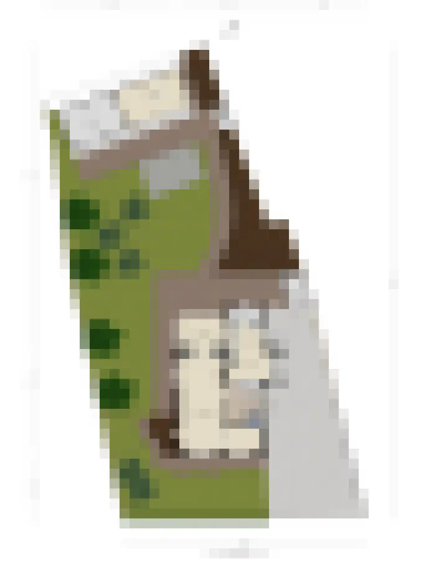 Nieuwe Maanderbuurtweg 4 Ede thumbnail 61