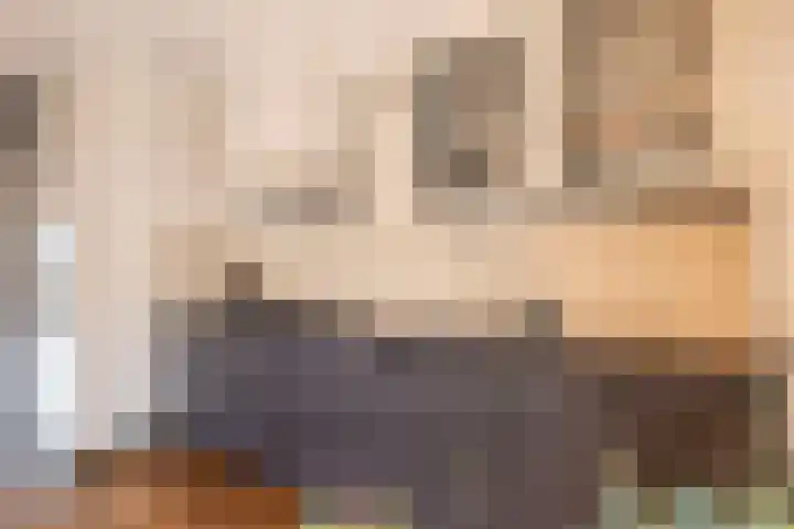 Nieuwe Maanderbuurtweg 69 Ede thumbnail 12