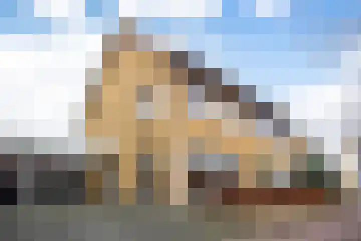 Nieuwe Maanderbuurtweg 69 Ede foto 2