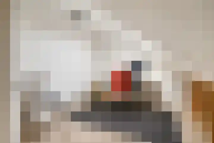 Nieuwe Maanderbuurtweg 69 Ede thumbnail 23
